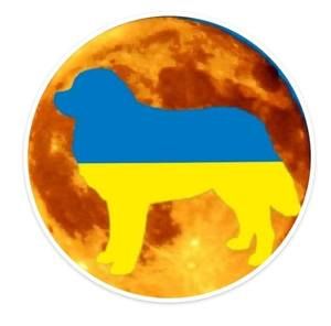 Meet your Posher, Rita